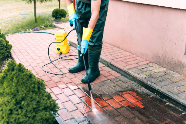 Best Residential Exterior Washing  in Centreville, AL